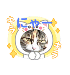 ハムチャン？（個別スタンプ：4）