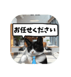 敬語・丁寧！できるビジネス猫エレが一言（個別スタンプ：4）