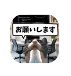 敬語・丁寧！できるビジネス猫エレが一言（個別スタンプ：8）