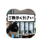 敬語・丁寧！できるビジネス猫エレが一言（個別スタンプ：9）