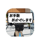 敬語・丁寧！できるビジネス猫エレが一言（個別スタンプ：13）