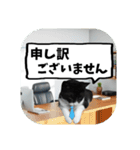 敬語・丁寧！できるビジネス猫エレが一言（個別スタンプ：14）