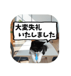 敬語・丁寧！できるビジネス猫エレが一言（個別スタンプ：18）