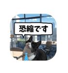 敬語・丁寧！できるビジネス猫エレが一言（個別スタンプ：19）