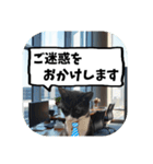 敬語・丁寧！できるビジネス猫エレが一言（個別スタンプ：21）