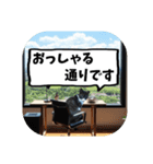 敬語・丁寧！できるビジネス猫エレが一言（個別スタンプ：22）