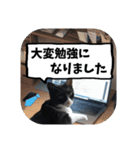 敬語・丁寧！できるビジネス猫エレが一言（個別スタンプ：23）