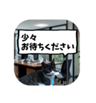敬語・丁寧！できるビジネス猫エレが一言（個別スタンプ：25）