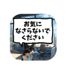 敬語・丁寧！できるビジネス猫エレが一言（個別スタンプ：28）