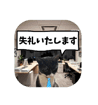 敬語・丁寧！できるビジネス猫エレが一言（個別スタンプ：32）