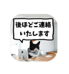 敬語・丁寧！できるビジネス猫エレが一言（個別スタンプ：33）