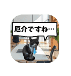 敬語・丁寧！できるビジネス猫エレが一言（個別スタンプ：35）