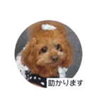 ni-na ❤︎（個別スタンプ：1）