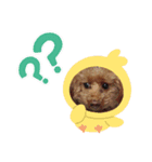 ni-na ❤︎（個別スタンプ：4）