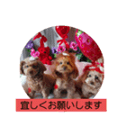 ni-na ❤︎（個別スタンプ：5）