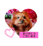 ni-na ❤︎（個別スタンプ：6）