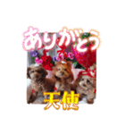 ni-na ❤︎（個別スタンプ：7）