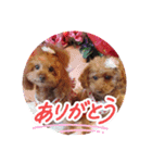 ni-na ❤︎（個別スタンプ：8）