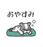 ■新年あけおめ⭐︎大好きフレブル！（再販）（個別スタンプ：36）