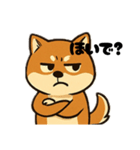 広島犬1（個別スタンプ：1）