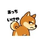 広島犬1（個別スタンプ：3）