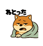 広島犬1（個別スタンプ：5）