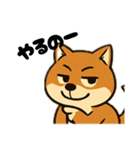 広島犬1（個別スタンプ：7）