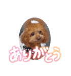 3姫たん（個別スタンプ：3）