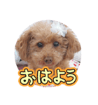 3姫たん（個別スタンプ：7）