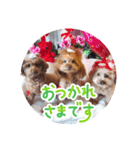 3姫たん（個別スタンプ：8）