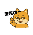 広島犬2（個別スタンプ：1）