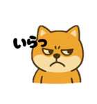 広島犬2（個別スタンプ：4）