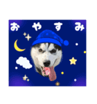 愉快なかわいいどうぶつたち（個別スタンプ：7）