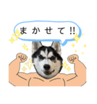 愉快なかわいいどうぶつたち（個別スタンプ：8）