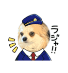 私の家のコタケくん2（個別スタンプ：9）