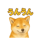 柴犬、気持ちを伝えるスタンプ（個別スタンプ：2）