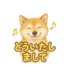 柴犬、気持ちを伝えるスタンプ（個別スタンプ：7）