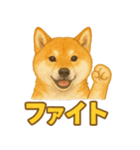 柴犬、気持ちを伝えるスタンプ（個別スタンプ：10）