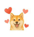 柴犬、気持ちを伝えるスタンプ（個別スタンプ：11）