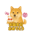 柴犬、気持ちを伝えるスタンプ（個別スタンプ：14）