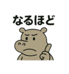色んな表情するカバ（個別スタンプ：40）