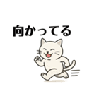 シロシ（個別スタンプ：10）