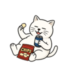 シロシ（個別スタンプ：17）