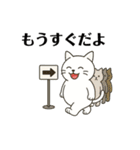シロシ（個別スタンプ：40）