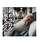スパルタな師匠【修業・弟子・面白い】（個別スタンプ：13）
