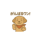 毎日使える！赤いバンダナの子犬（個別スタンプ：10）