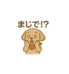 毎日使える！赤いバンダナの子犬（個別スタンプ：11）