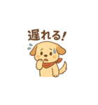毎日使える！赤いバンダナの子犬（個別スタンプ：14）