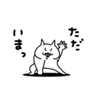 全力ねこあると助かる日常挨拶編（個別スタンプ：19）