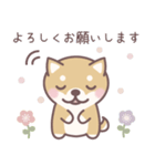 ★敬語★柴犬しばちゃん（個別スタンプ：11）